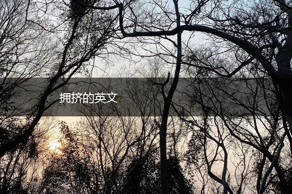 拥挤的英文