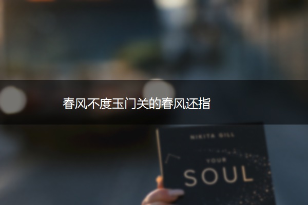 春风不度玉门关的春风还指