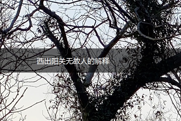 西出阳关无故人的解释