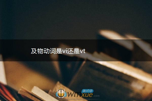 及物动词是vi还是vt