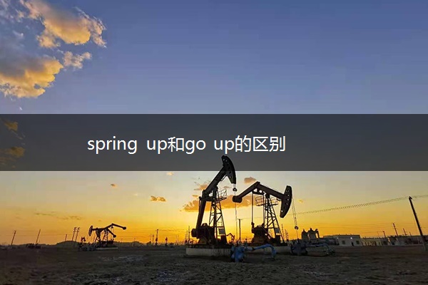 spring up和go up的区别