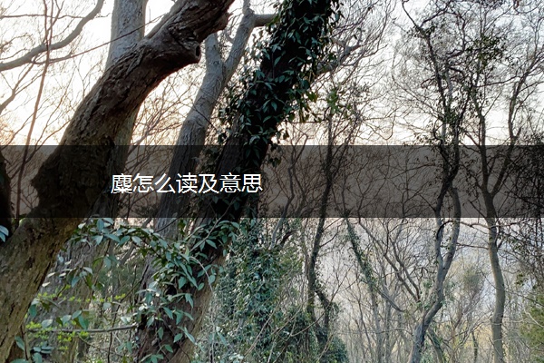 麋怎么读及意思