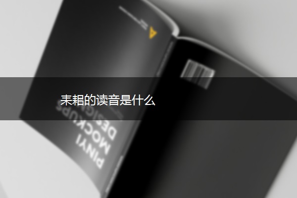 耒耜的读音是什么