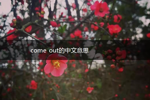 come out的中文意思