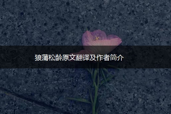 狼蒲松龄原文翻译及作者简介
