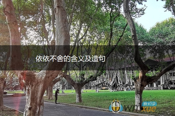 依依不舍的含义及造句