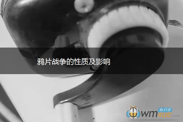 战争的性质及影响