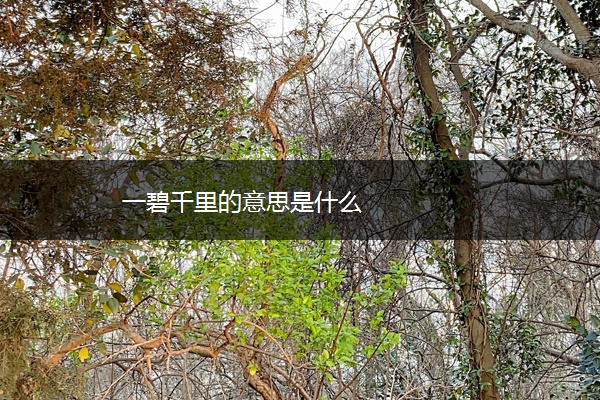 一碧千里的意思是什么