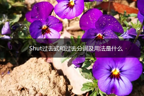 Shut过去式和过去分词及用法是什么