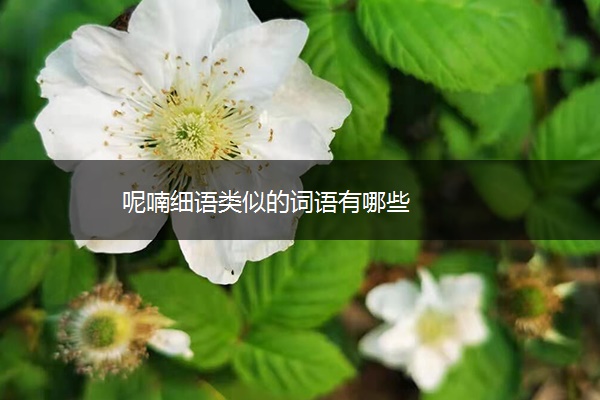 呢喃细语类似的词语有哪些