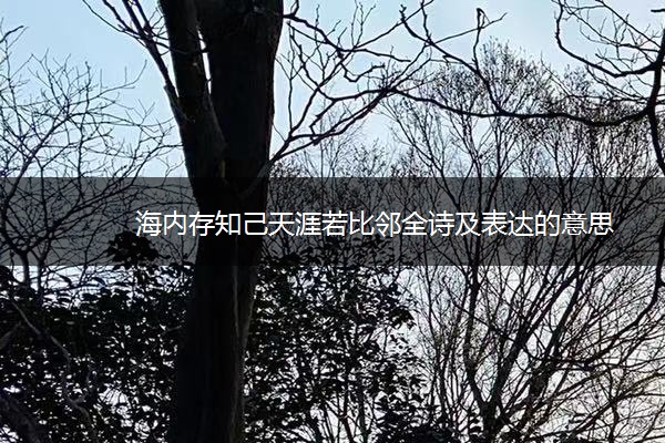 海内存知己天涯若比邻全诗及表达的意思
