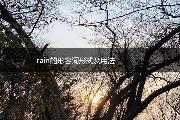 rain的形容词形式及用法