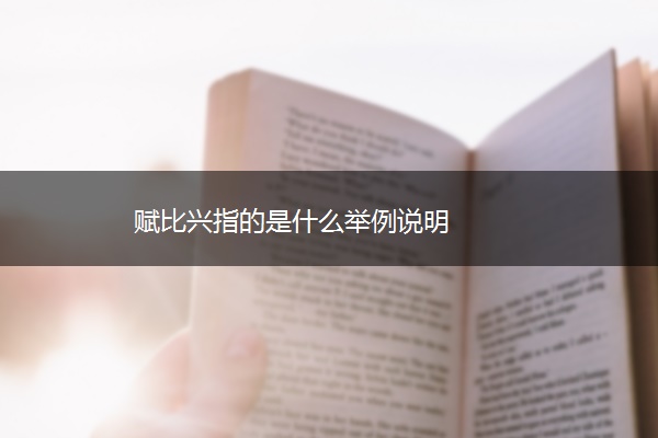赋比兴指的是什么举例说明