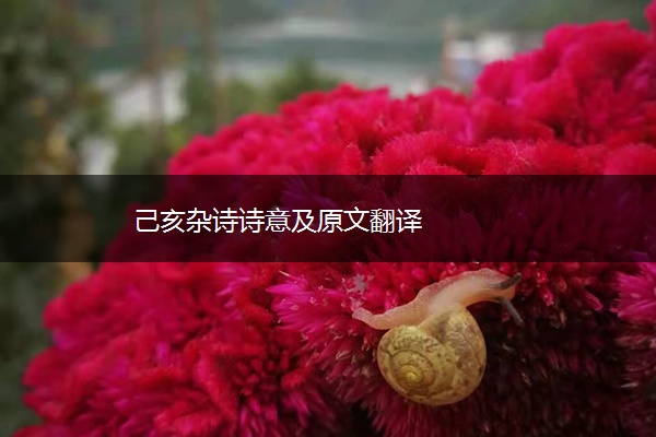 己亥杂诗诗意及原文翻译