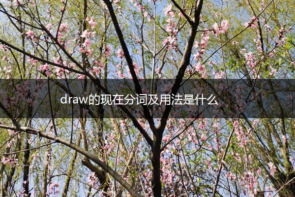 draw的现在分词及用法是什么