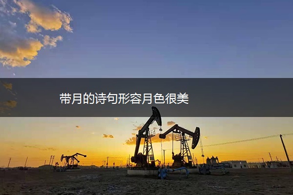 带月的诗句形容月色很美