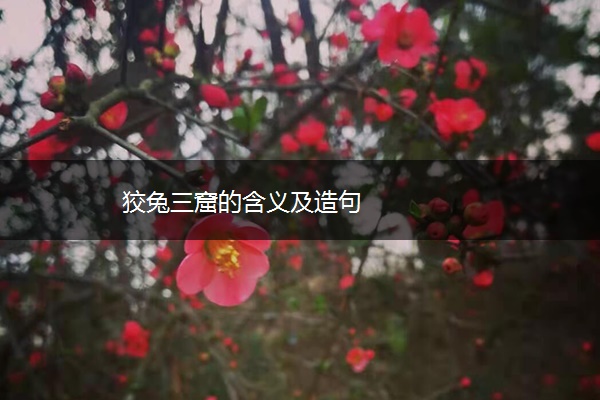 狡兔三窟的含义及造句