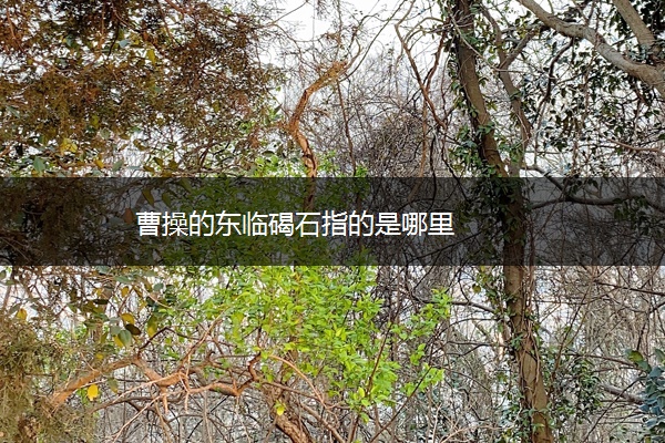 曹操的东临碣石指的是哪里