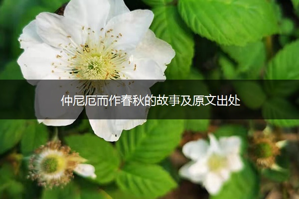仲尼厄而作春秋的故事及原文出处