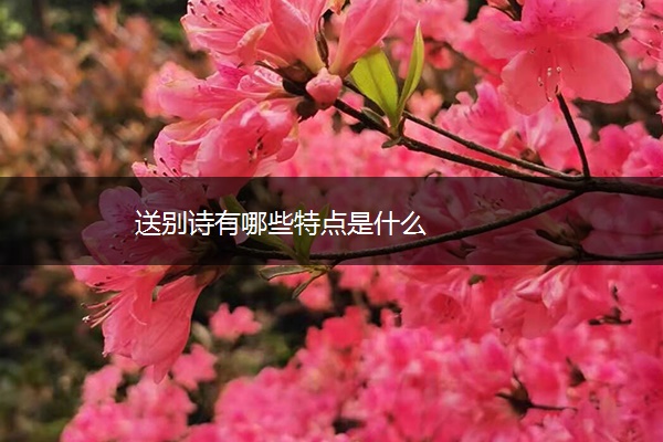 送别诗有哪些特点是什么