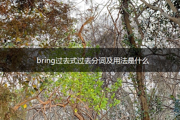 bring过去式过去分词及用法是什么