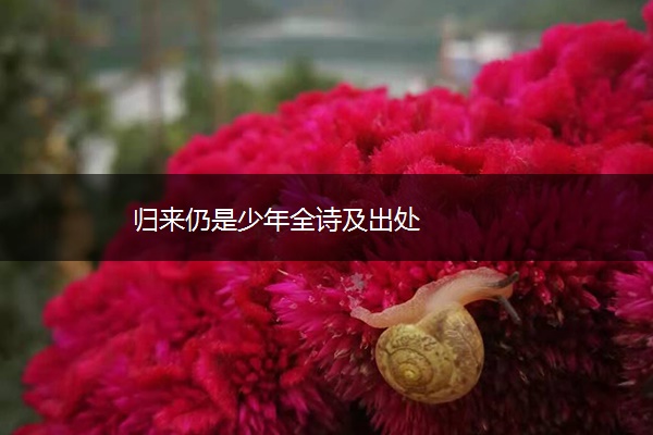归来仍是少年全诗及出处