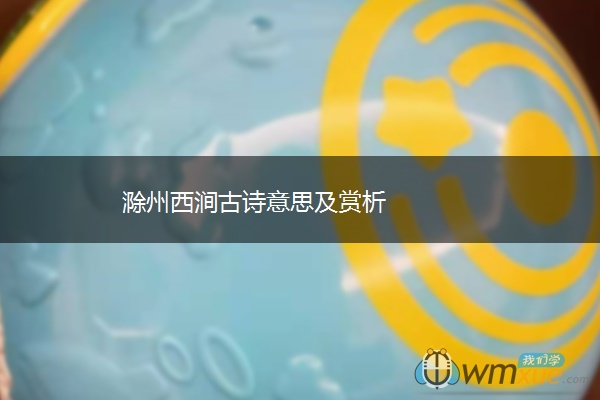 滁州西涧古诗意思及赏析