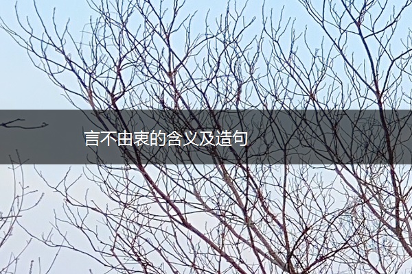 言不由衷的含义及造句