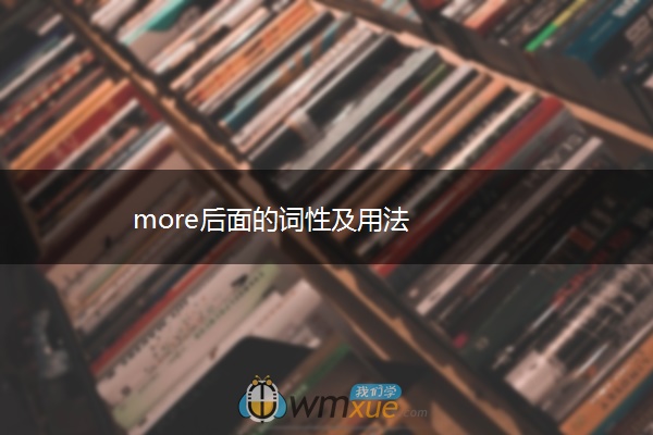 more后面的词性及用法