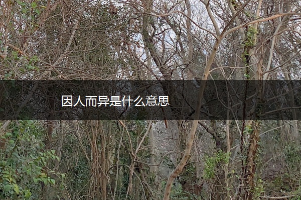 因人而异是什么意思