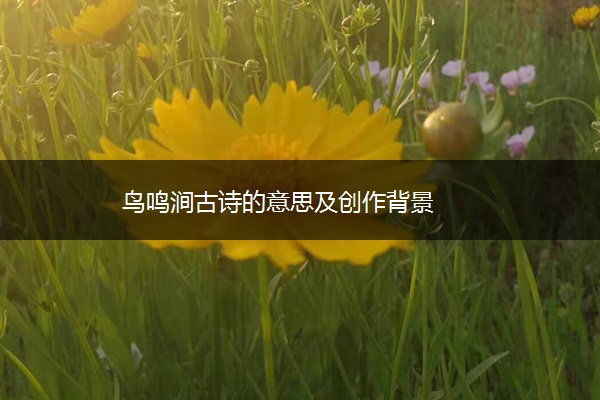 鸟鸣涧古诗的意思及创作背景