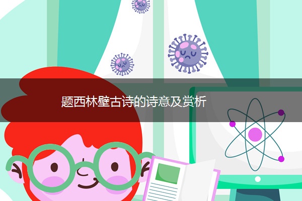 题西林壁古诗的诗意及赏析