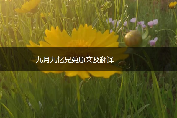 九月九忆兄弟原文及翻译