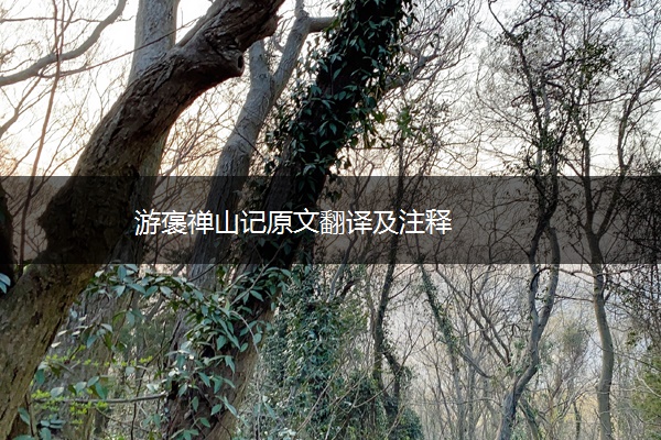 游褒禅山记原文翻译及注释