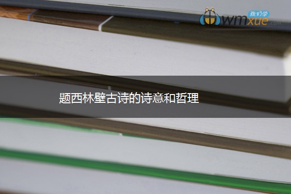 题西林壁古诗的诗意和哲理