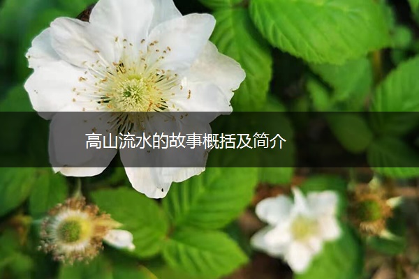 高山流水的故事概括及简介