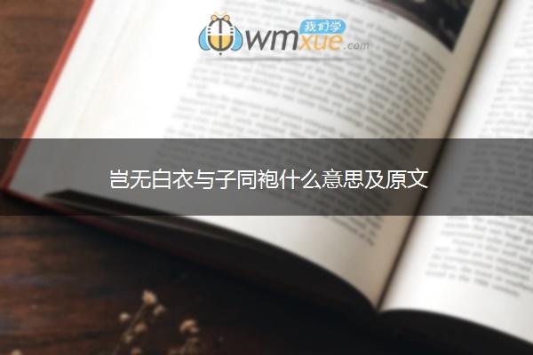 岂无白衣与子同袍什么意思及原文