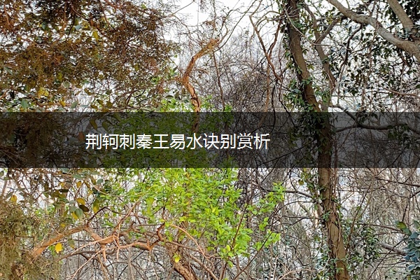 荆轲刺秦王易水诀别赏析