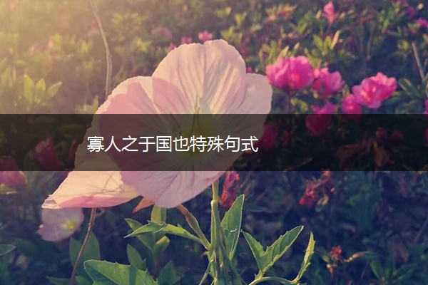 寡人之于国也特殊句式