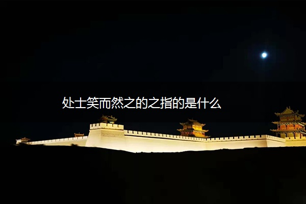 处士笑而然之的之指的是什么