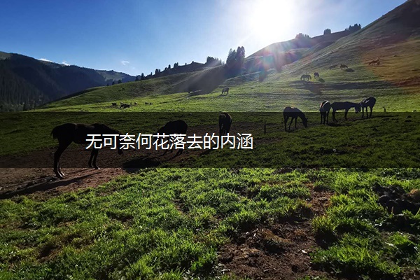 无可奈何花落去的内涵