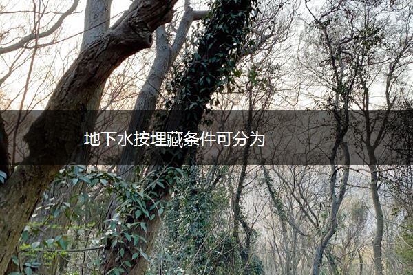 地下水按埋藏条件可分为
