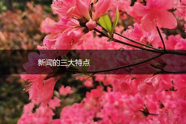 新闻的三大特点