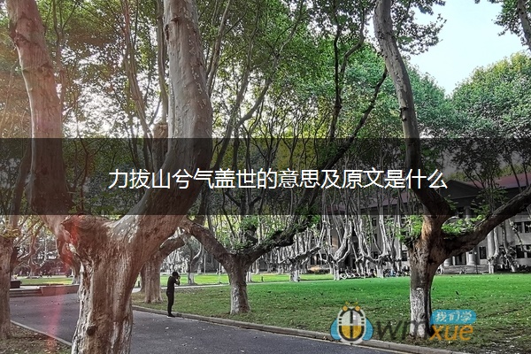 力拔山兮气盖世的意思及原文是什么