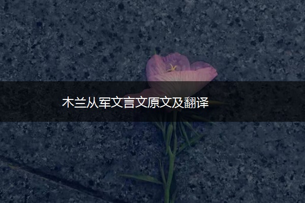 木兰从军文言文原文及翻译