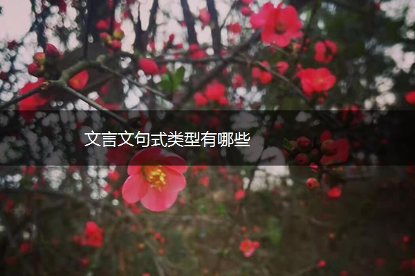 文言文句式类型有哪些