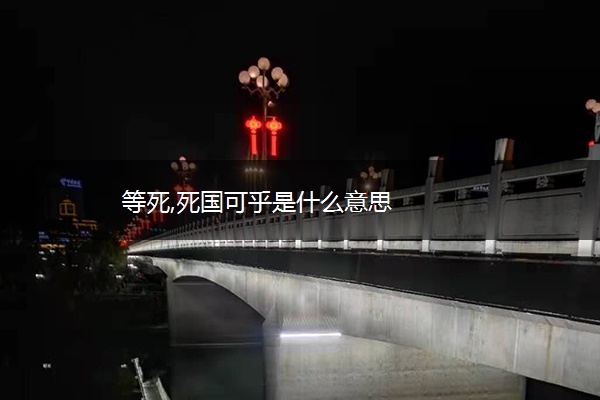 等死,死国可乎是什么意思