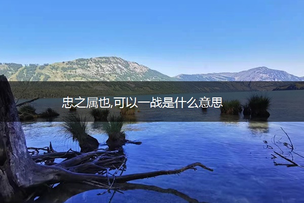 忠之属也,可以一战是什么意思
