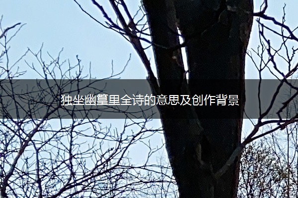 独坐幽篁里全诗的意思及创作背景