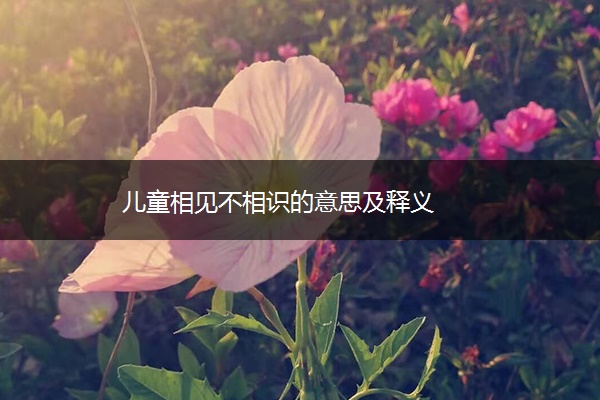 儿童相见不相识的意思及释义